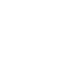 icon1