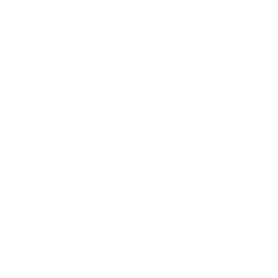 icon1