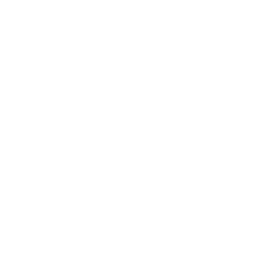 icon1