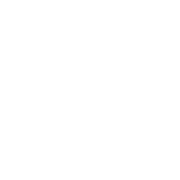 icon1